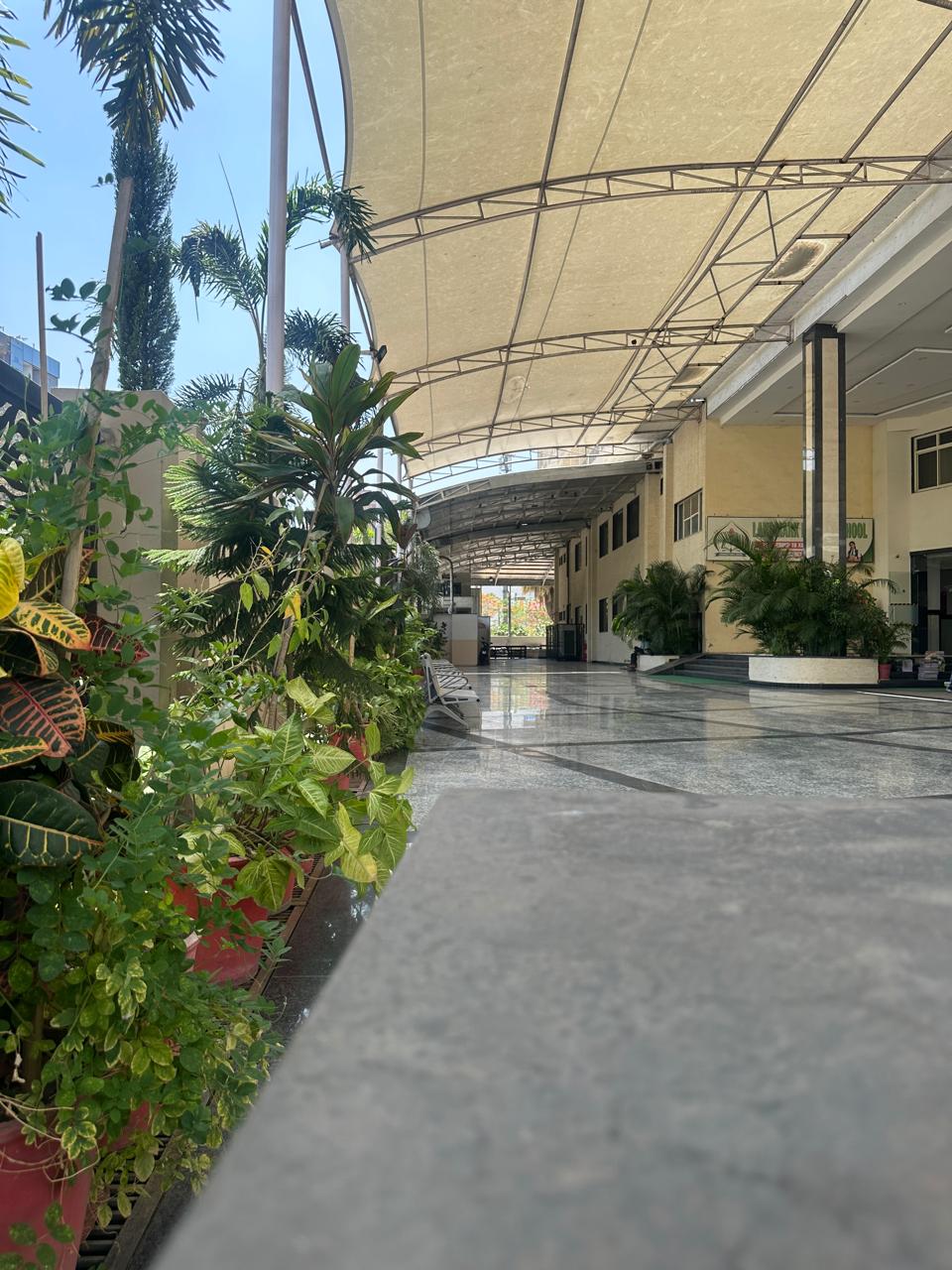 img1 (2)